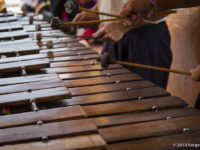 De kracht van de marimba