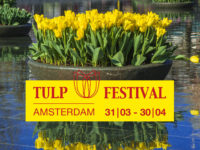 Tulpen IN Amsterdam!