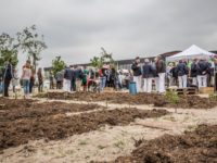 Amsterdam, Noord, Vogelbuurt, Johan van Hasseltweg, VerbroederIJ, 19-05-2018
VerbroederIJ in Noord in aanbouw voor een buurt ontmoetingsplek met stradstrant, horeca en moestuintjes.